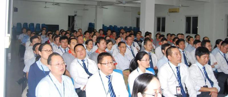 深圳大陽集團(tuán)流程E化、智能決策BI”智造信息化“案例